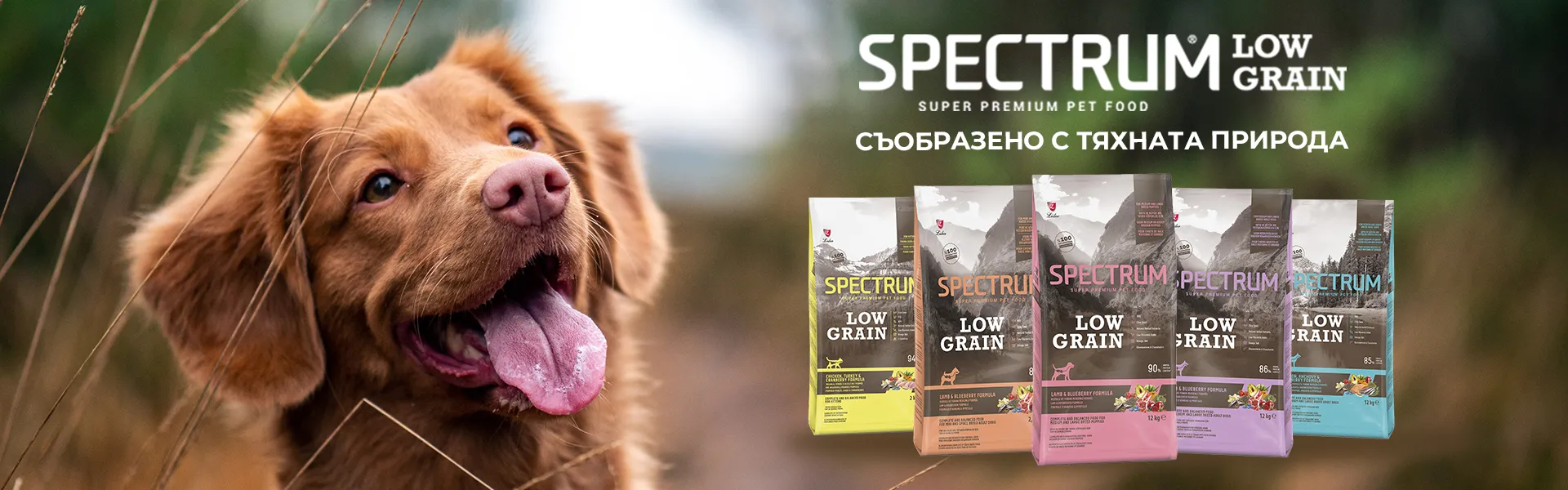petfood banner - спектрум