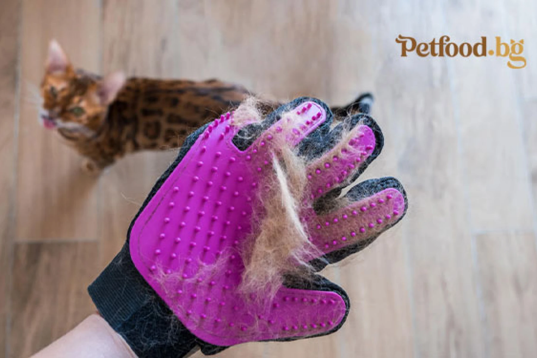 Битката с космените топки - Equilibrio Hairball срещу Reflex Plus Hairball