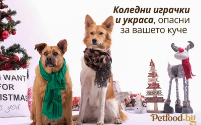 Коледни играчки и украса, опасни за вашето куче