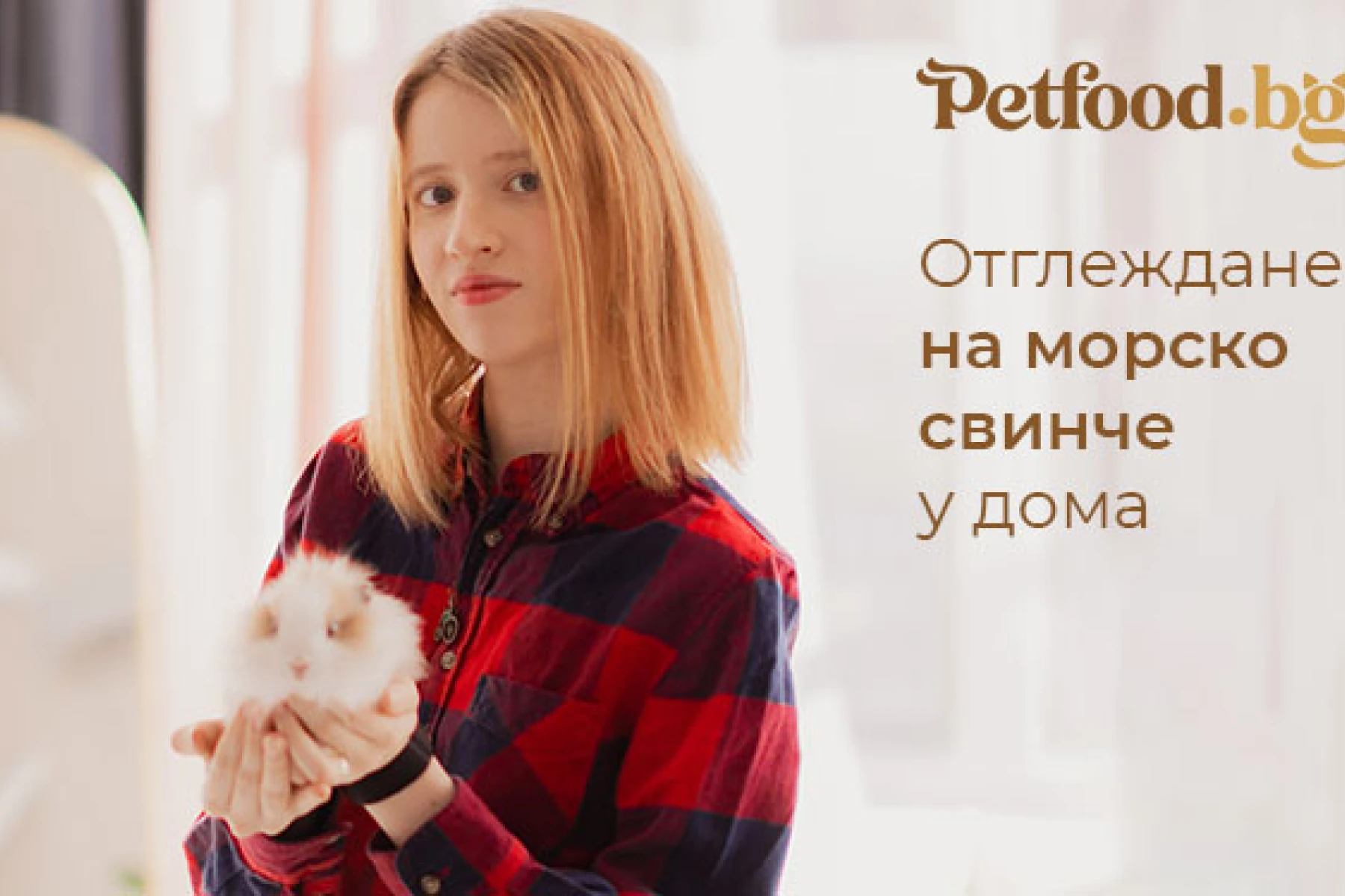 Отглеждане на морско свинче у дома - Хранене, избор на клетка и отглеждане