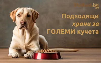 Каква храна е подходяща за големи породи кучета ?