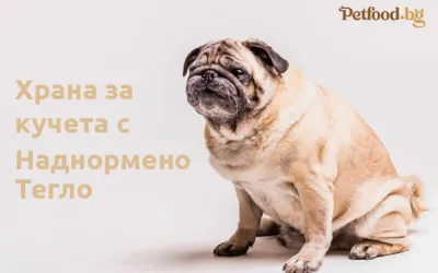 Каква храна за изберем за куче с наднормено тегло ?