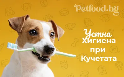 Устна хигиена при кучетата - грижа за зъбите