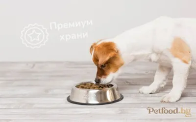 Какви са предимствата на висок клас кучешка храна ?