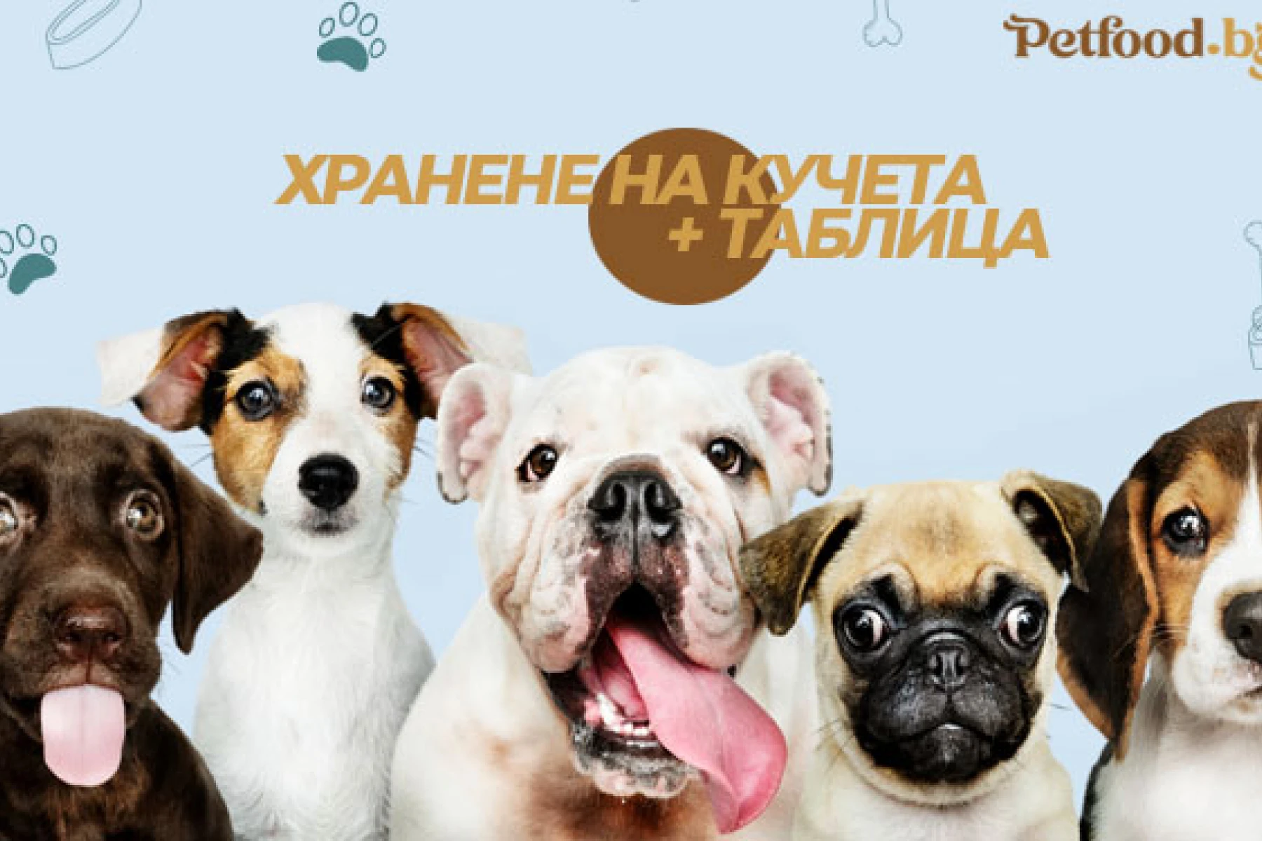 Таблица за хранене на кучета, норми и как да храним правилно домашния си любимец